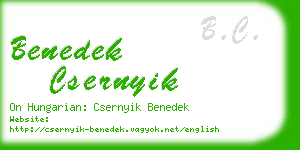 benedek csernyik business card